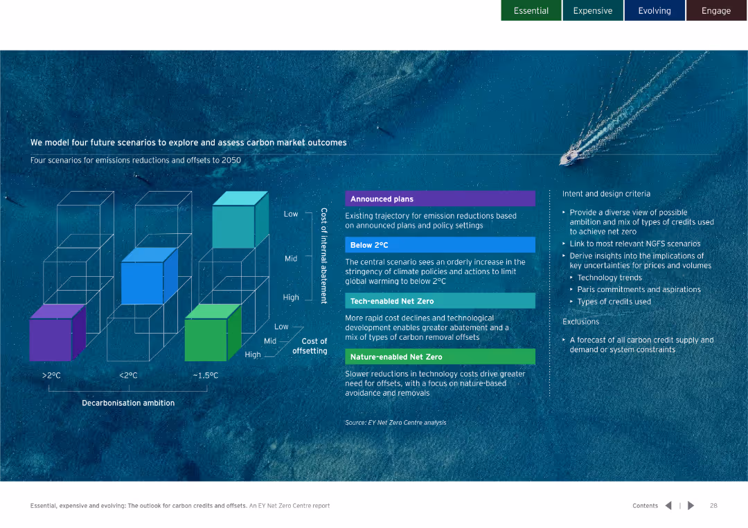 Essential, expensive and evolving: The outlook for carbon credits and offsets