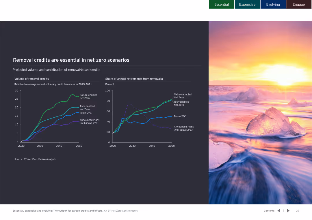 Essential, expensive and evolving: The outlook for carbon credits and offsets