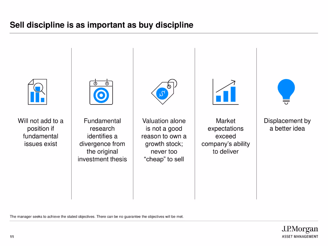 J.P. Morgan Growth Advantage Strategy