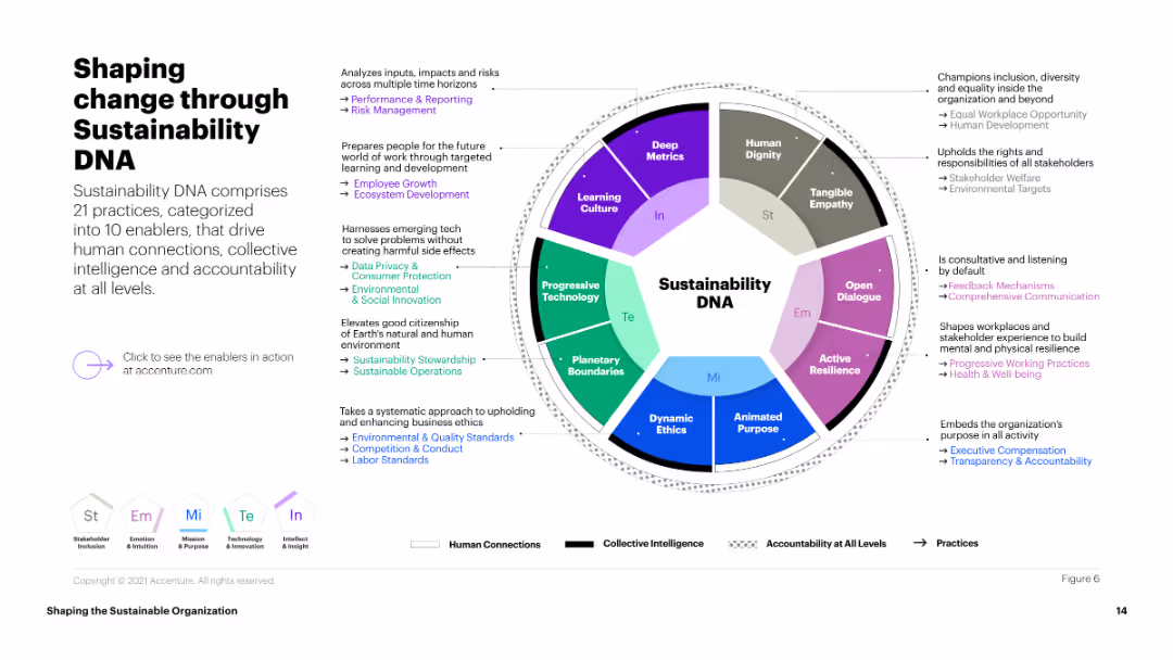 Shaping the Sustainable Organization