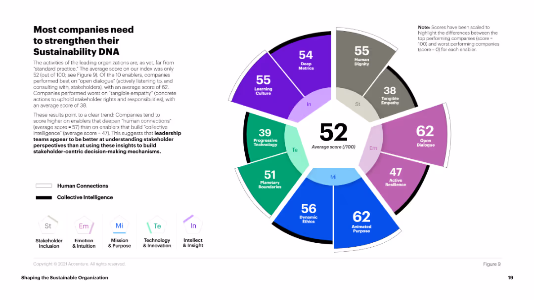 Shaping the Sustainable Organization