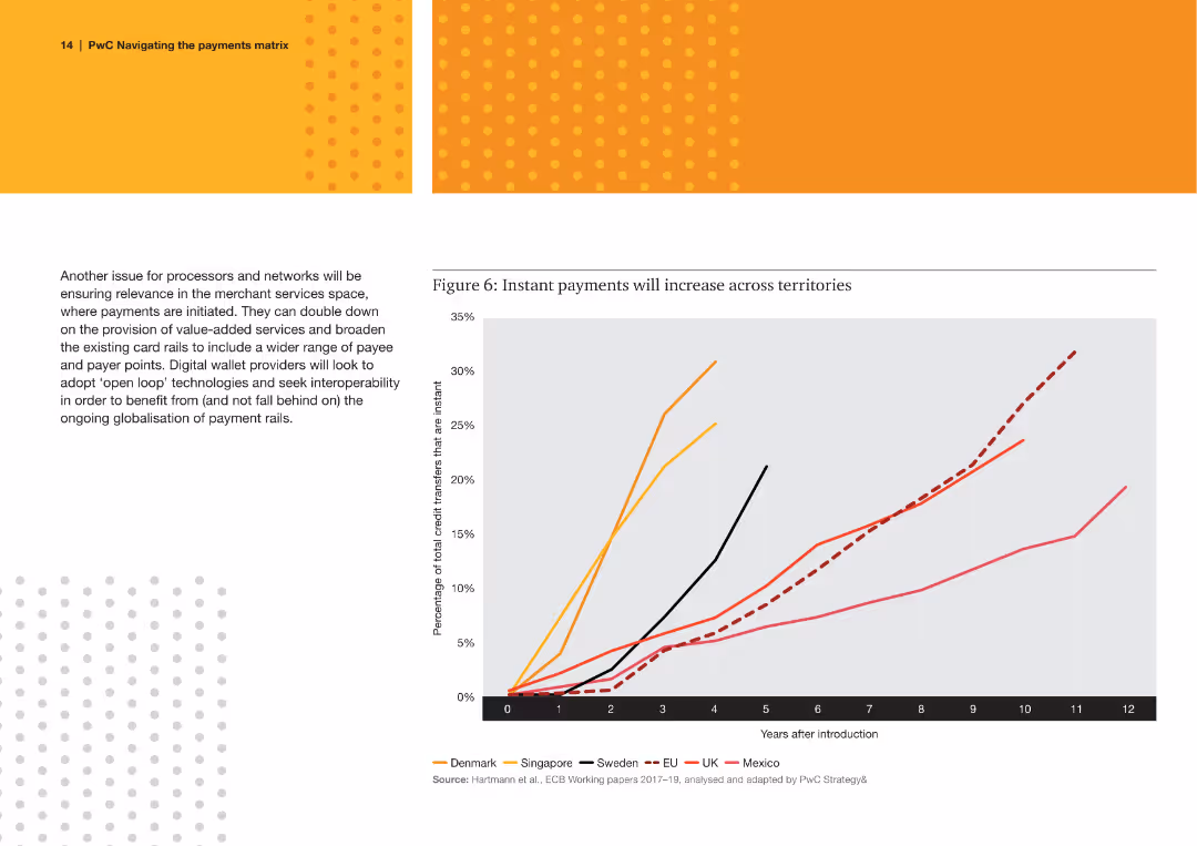 Navigating the payments matrix Charting a course amid evolution and revolution