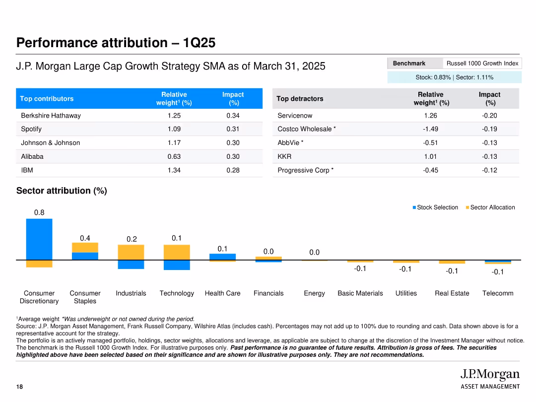 J.P. Morgan Large Cap Growth Strategy Separately Managed Account