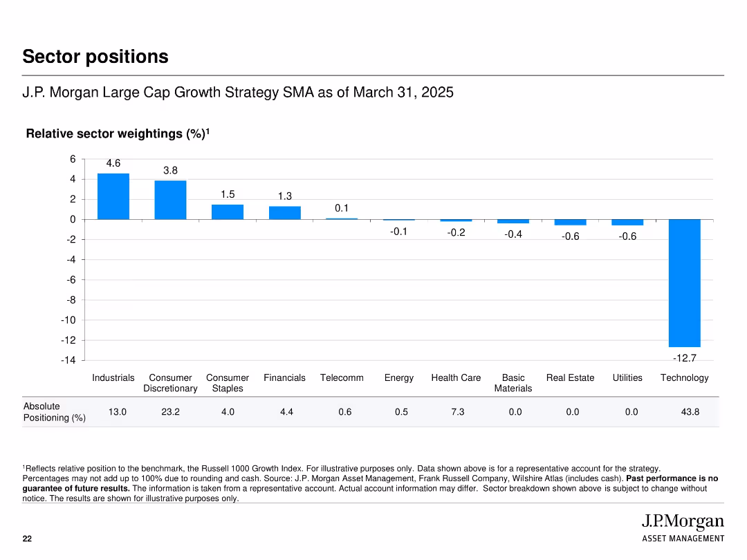 J.P. Morgan Large Cap Growth Strategy Separately Managed Account