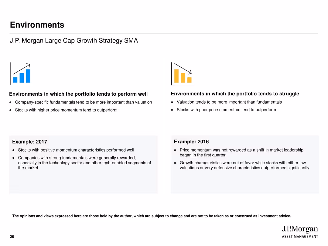 J.P. Morgan Large Cap Growth Strategy Separately Managed Account