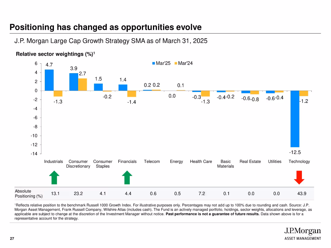 J.P. Morgan Large Cap Growth Strategy Separately Managed Account
