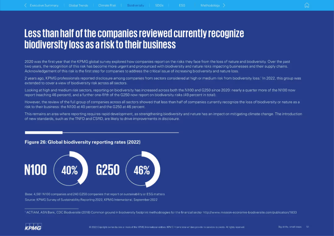 Big shifts, small steps Survey of Sustainability Reporting 2022