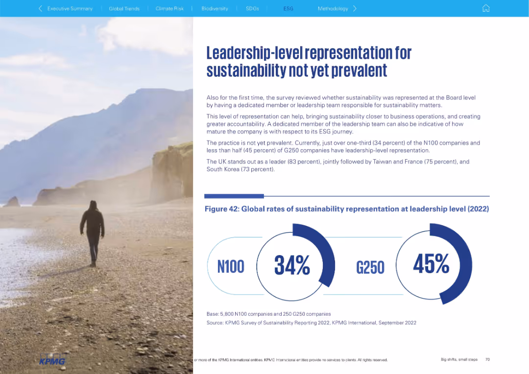 Big shifts, small steps Survey of Sustainability Reporting 2022