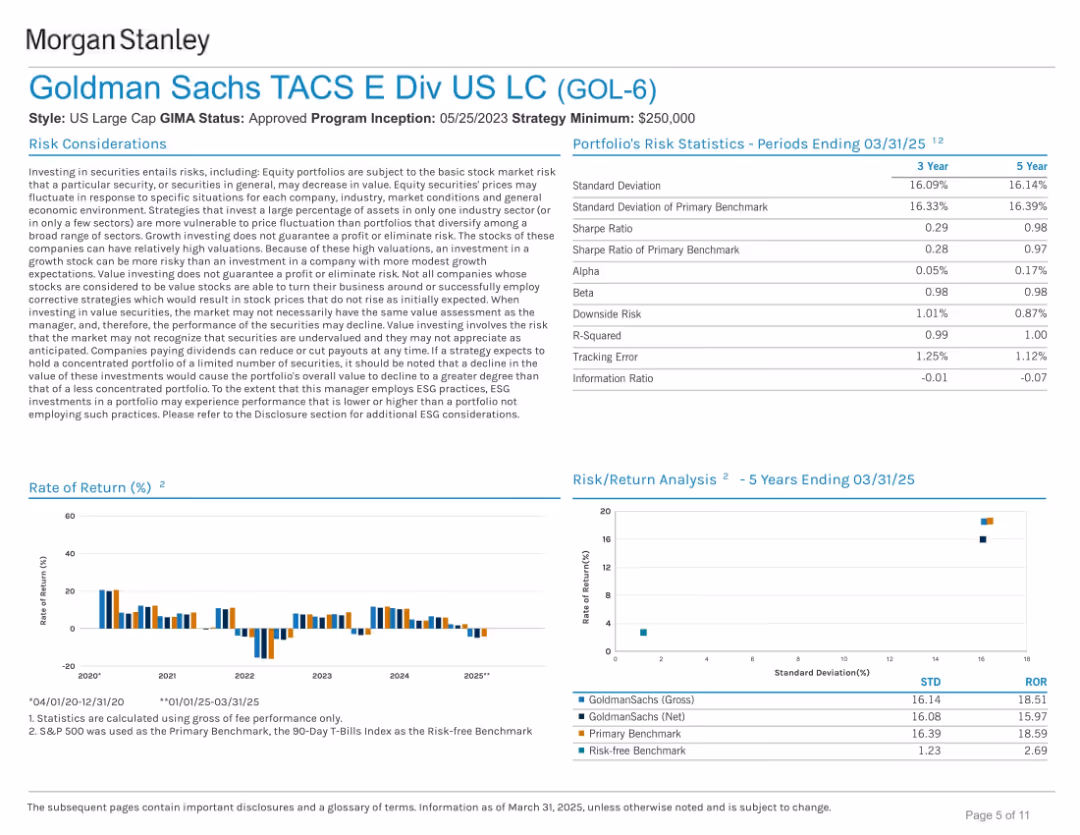 Goldman Sachs TACS E Div US LC (GOL-6)