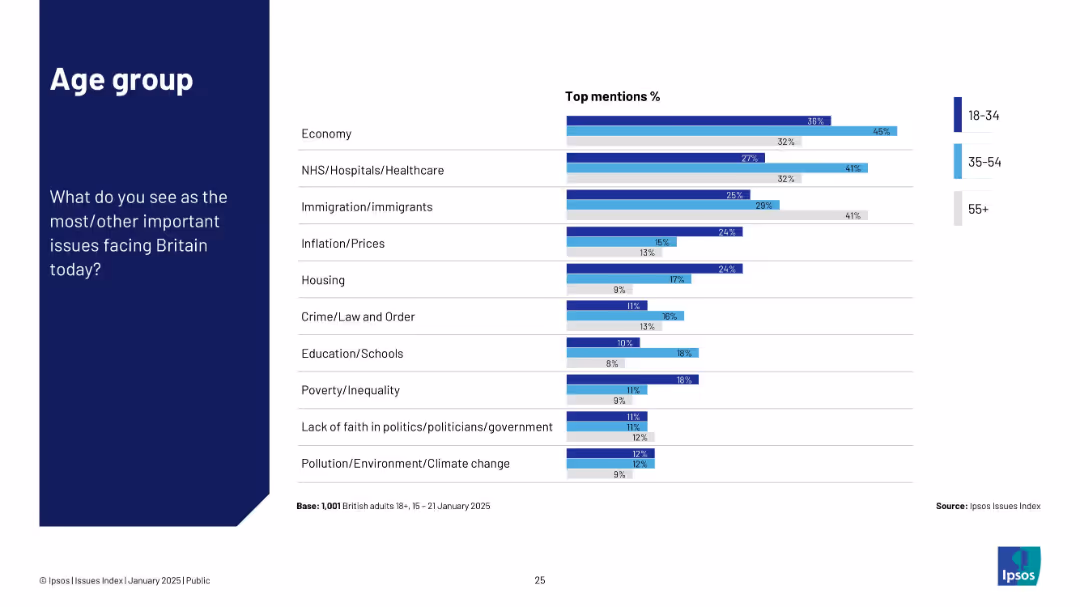 Ipsos Issues Index January 2025