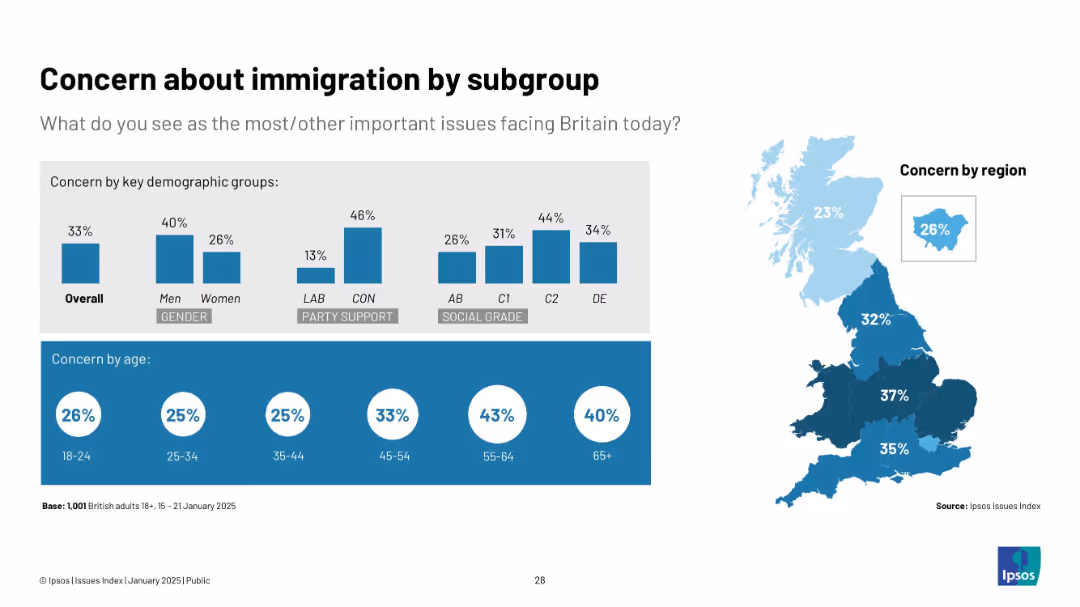 Ipsos Issues Index January 2025