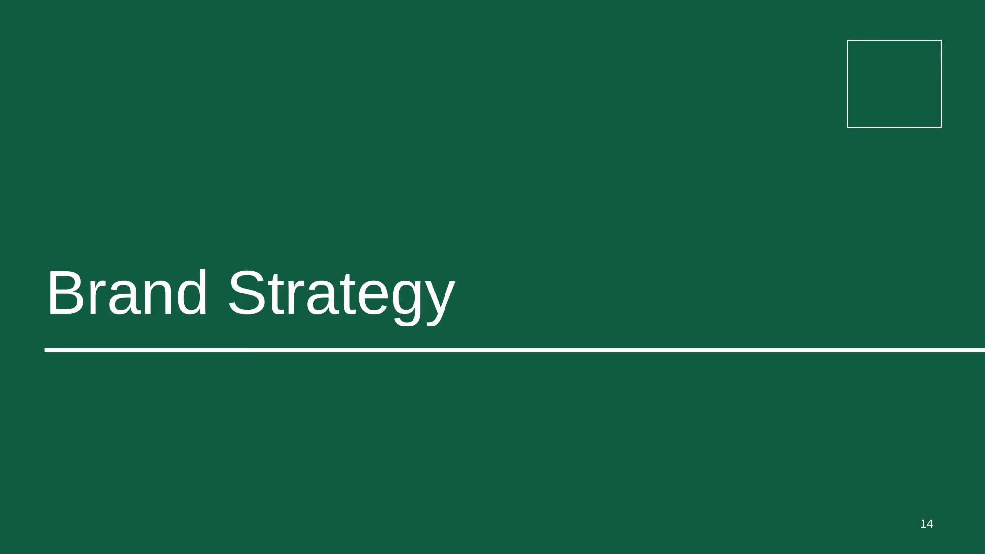 Verazyne Commercial Strategy - Slide 14