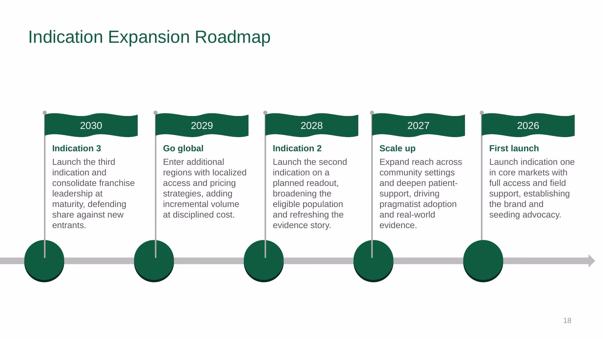 Verazyne Commercial Strategy - Slide 18