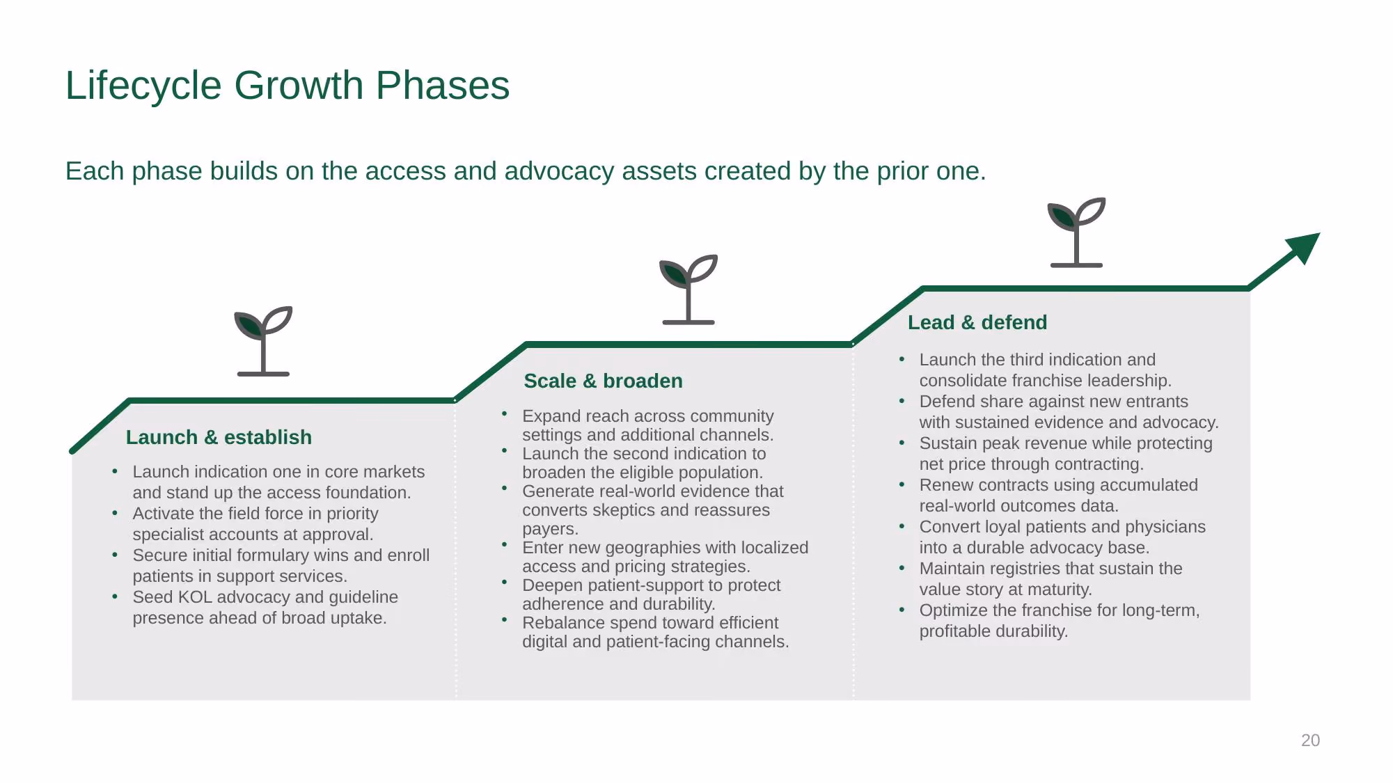 Verazyne Commercial Strategy - Slide 20