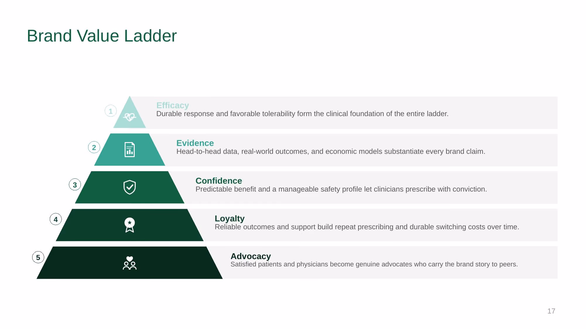 Verazyne Commercial Strategy - Slide 17