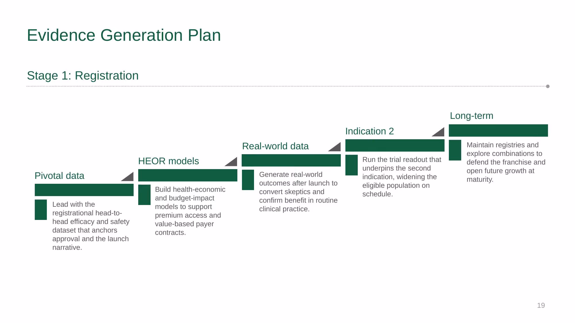 Verazyne Commercial Strategy - Slide 19