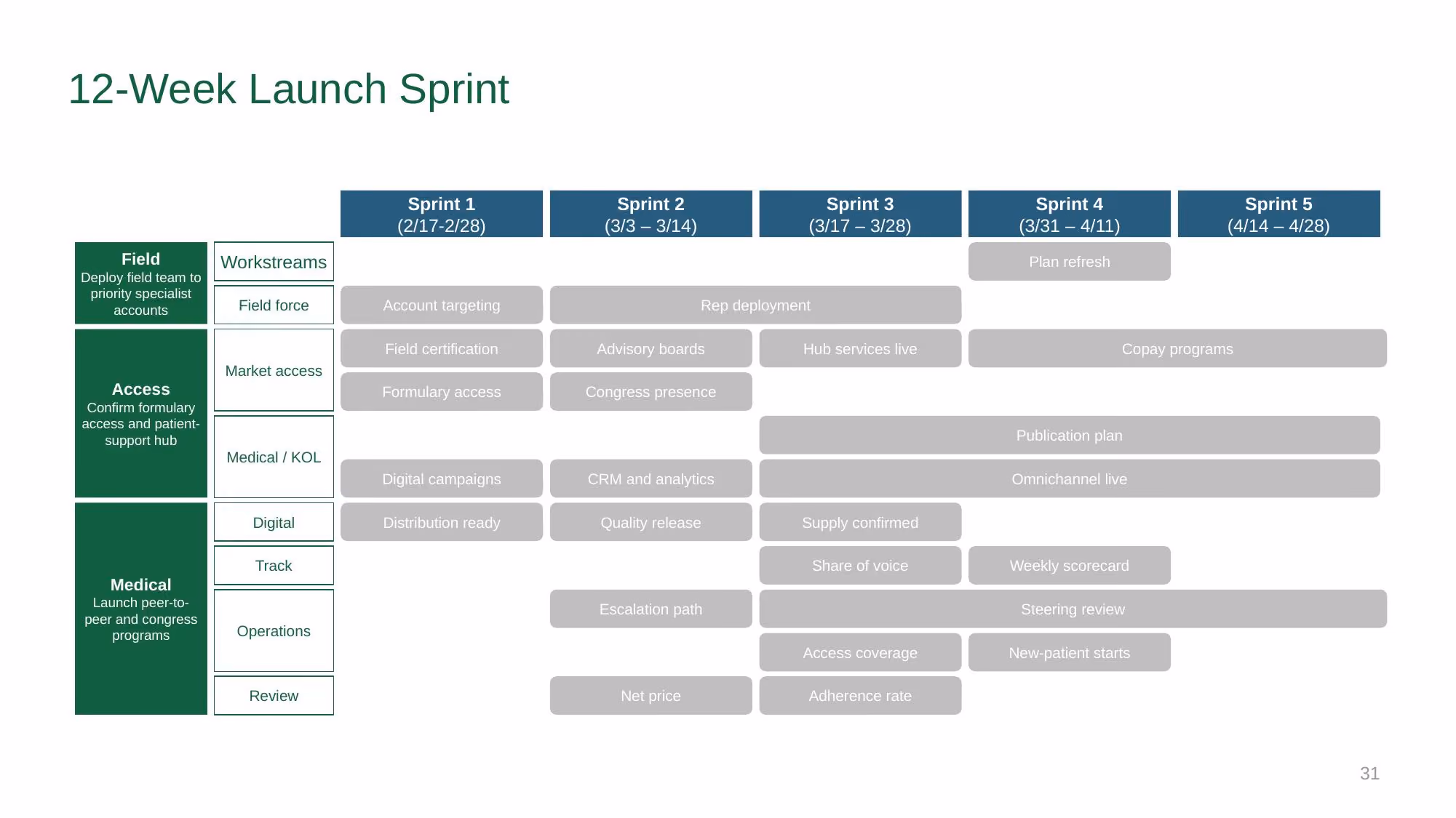 Verazyne Commercial Strategy - Slide 31