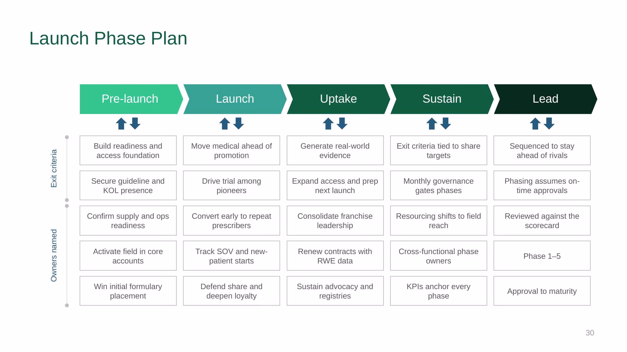 Verazyne Commercial Strategy - Slide 30