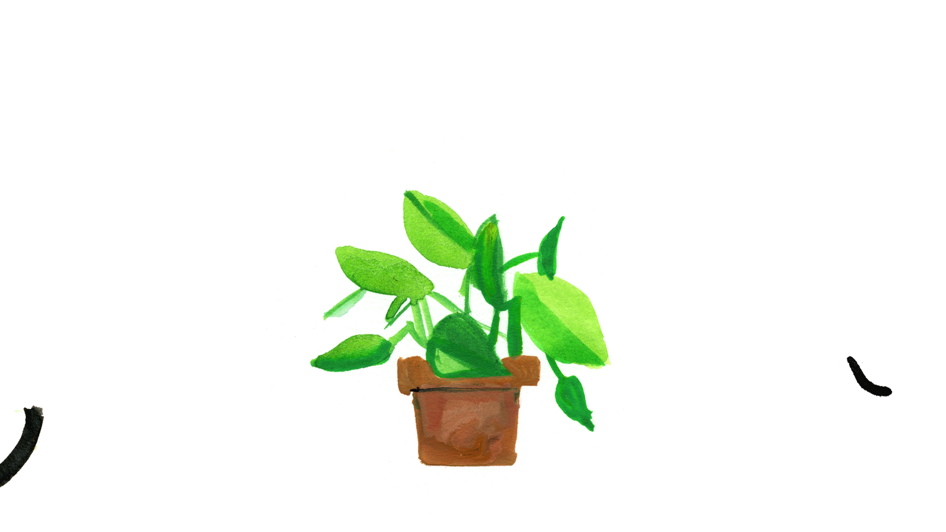 A15_Pothos_Surprised