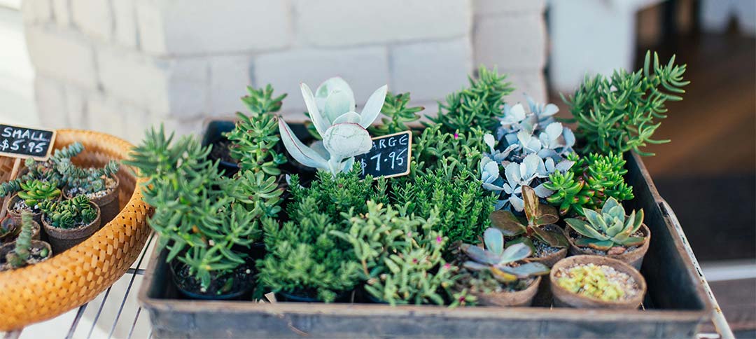17 Fundraising ideas for college students that actually work