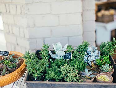 17 Fundraising ideas for college students that actually work