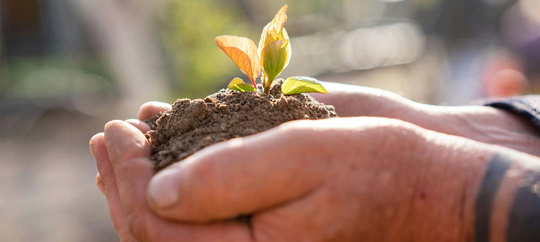 Top environmental nonprofit organizations to support