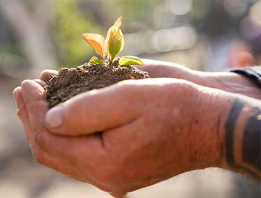 Top environmental nonprofit organizations to support