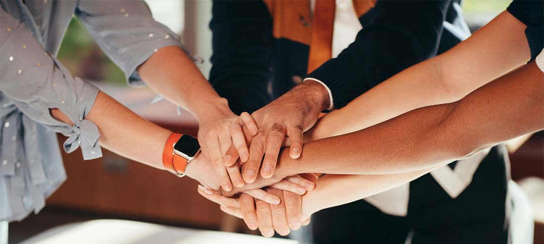 What is an NGO? Definition, types, and how they make an impact