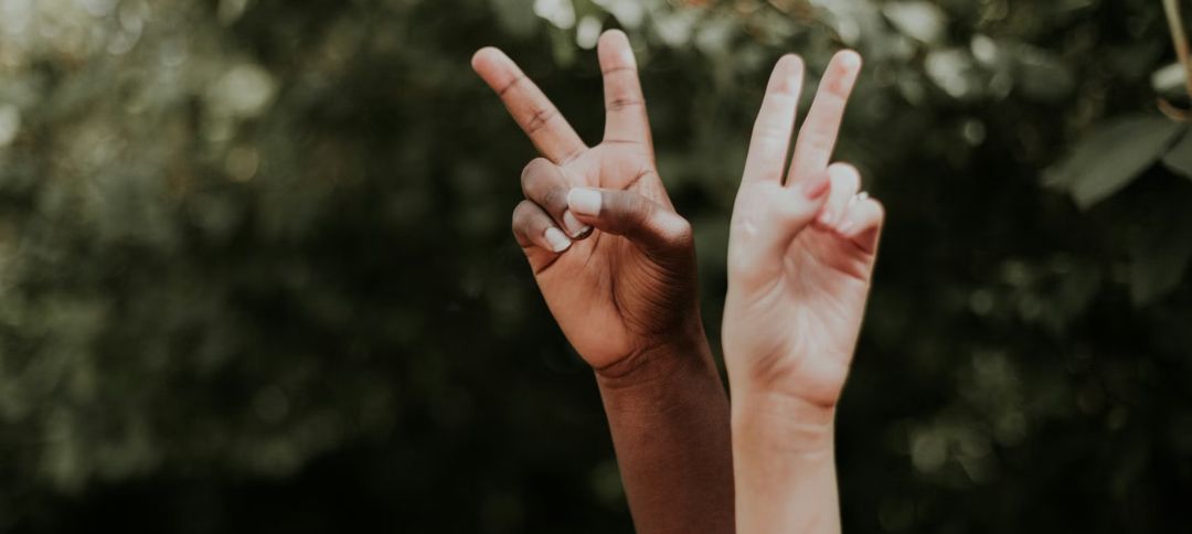 Top human rights nonprofits and how to support them