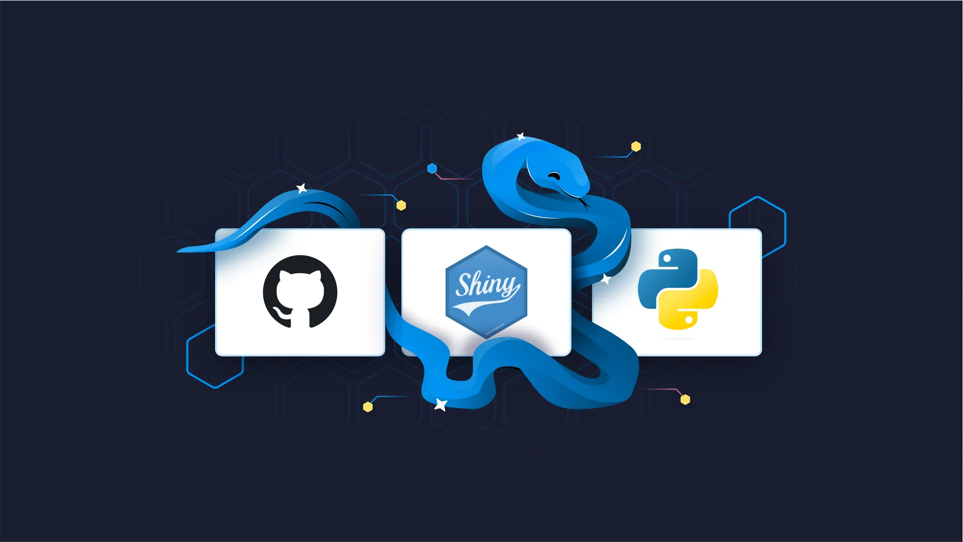 Shiny for Python Deploy: How to Host Your App For Free on GitHub Pages