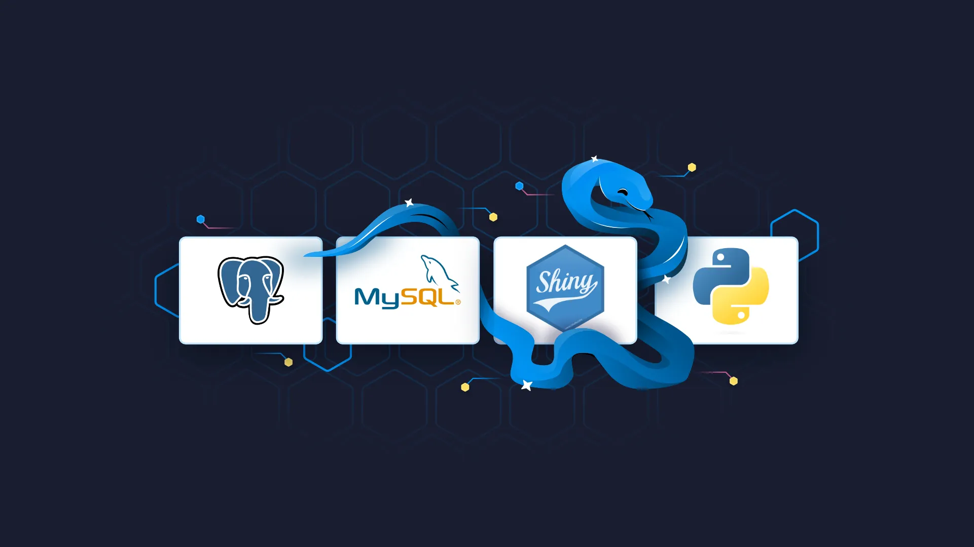 Shiny for Python: How to Work With MySQL and Postgres Databases