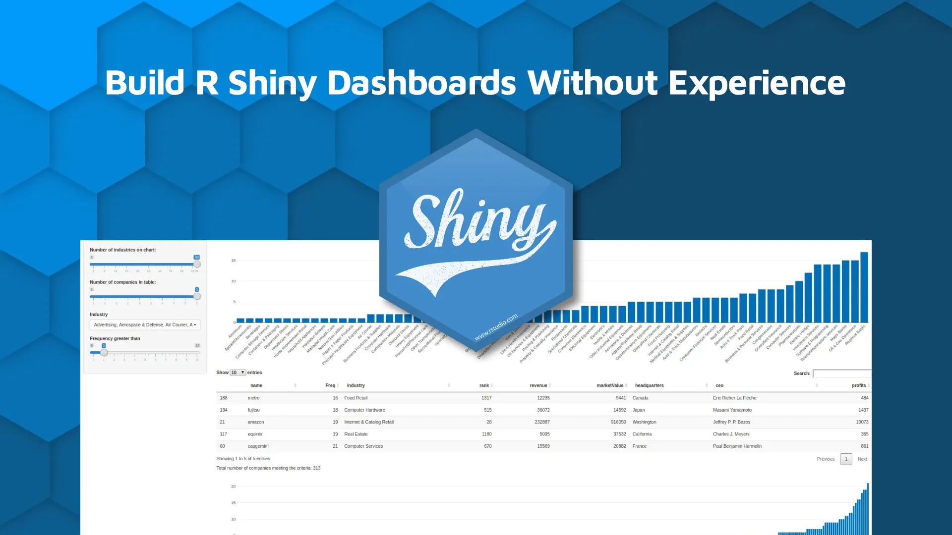 How I built an interactive Shiny dashboard in 2 days without any experience in R - R Shiny Dashboard Tutorial