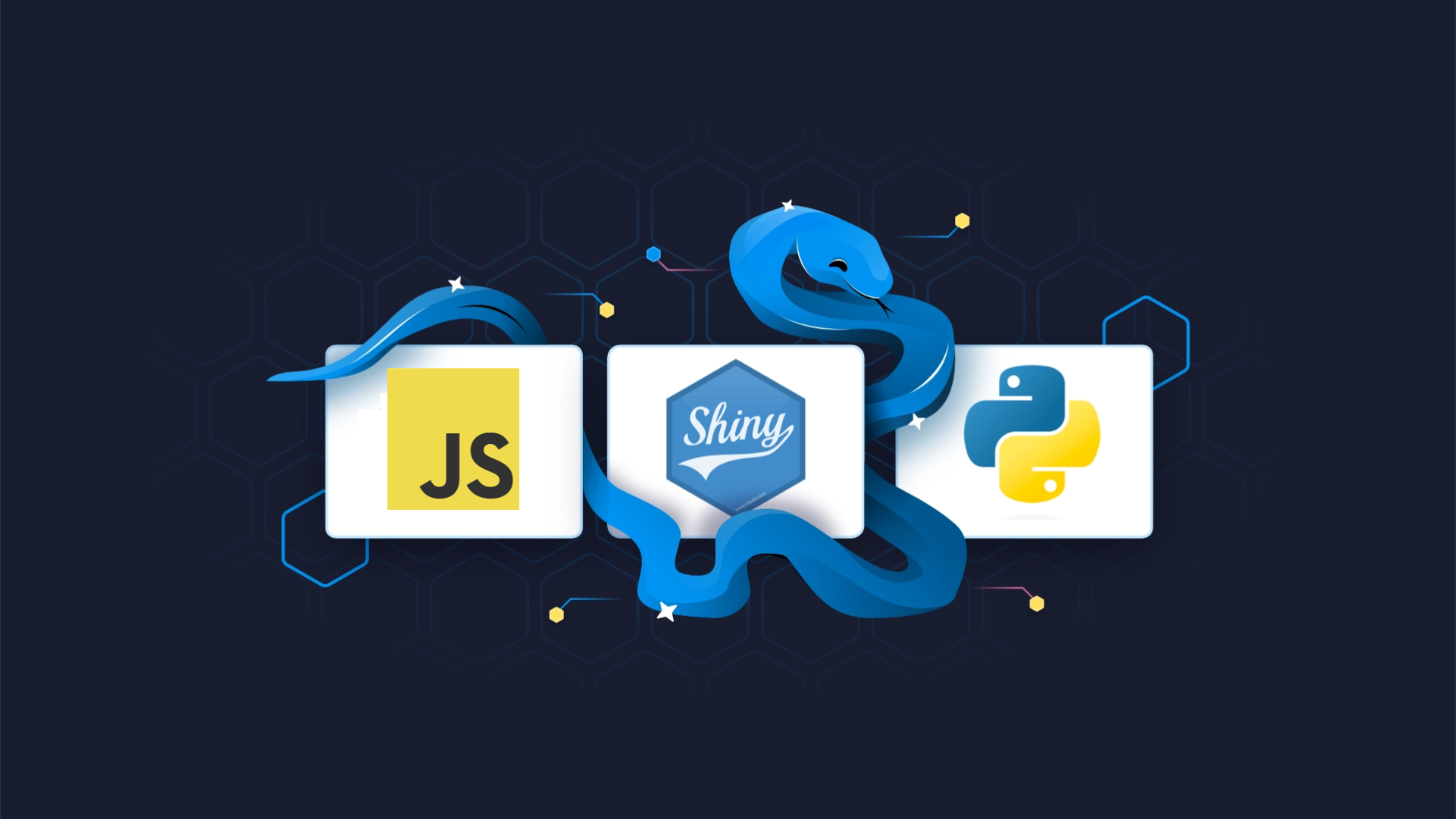 Shiny for Python and JavaScript: How to Add JS Scripts to Your Dashboards