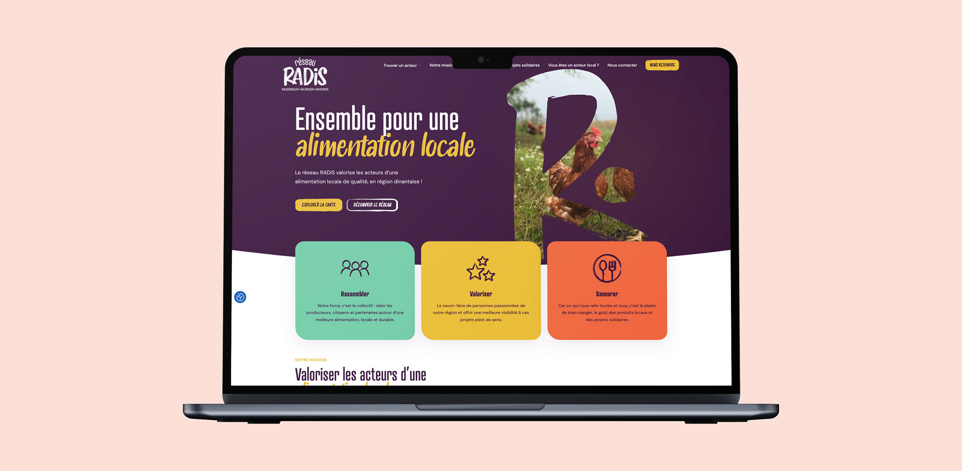 Reseau RADiS