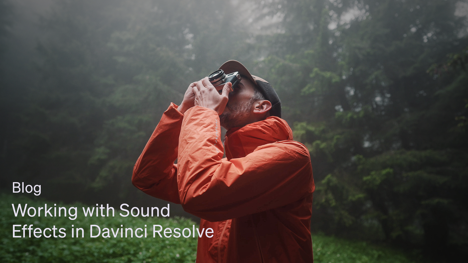Working with Sound Effects in Davinci Resolve