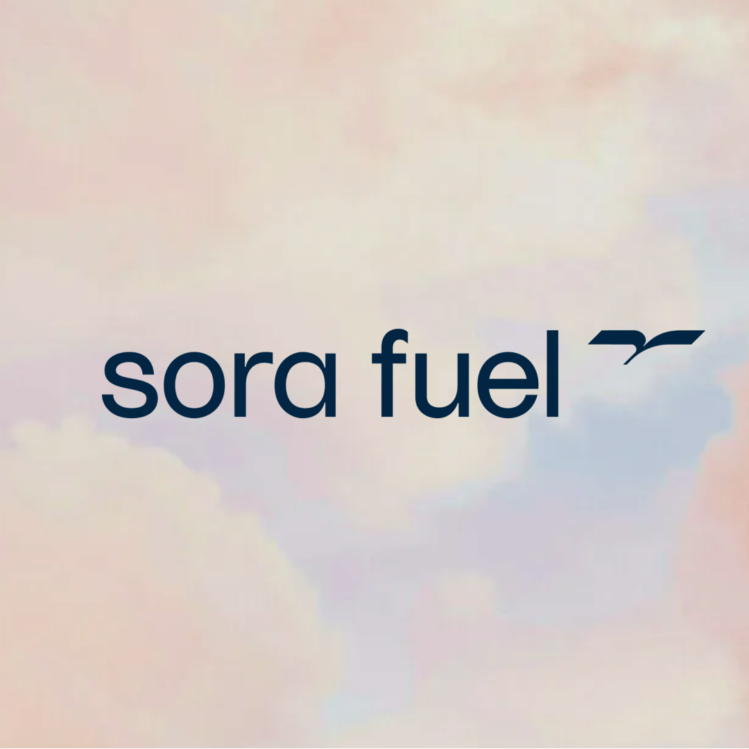Why We Invested: Sora Fuel