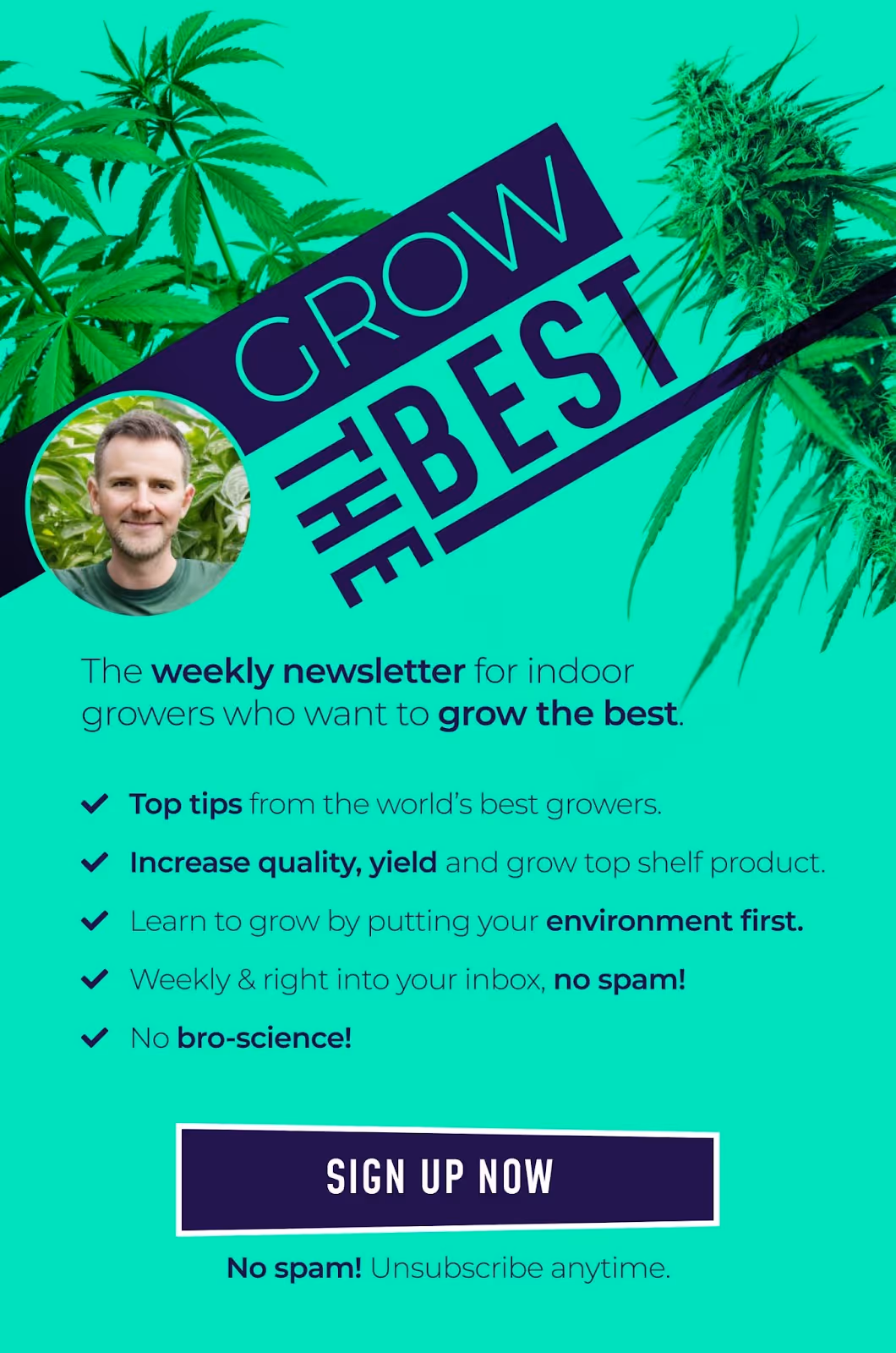 Grow the best newsletter banner sign up