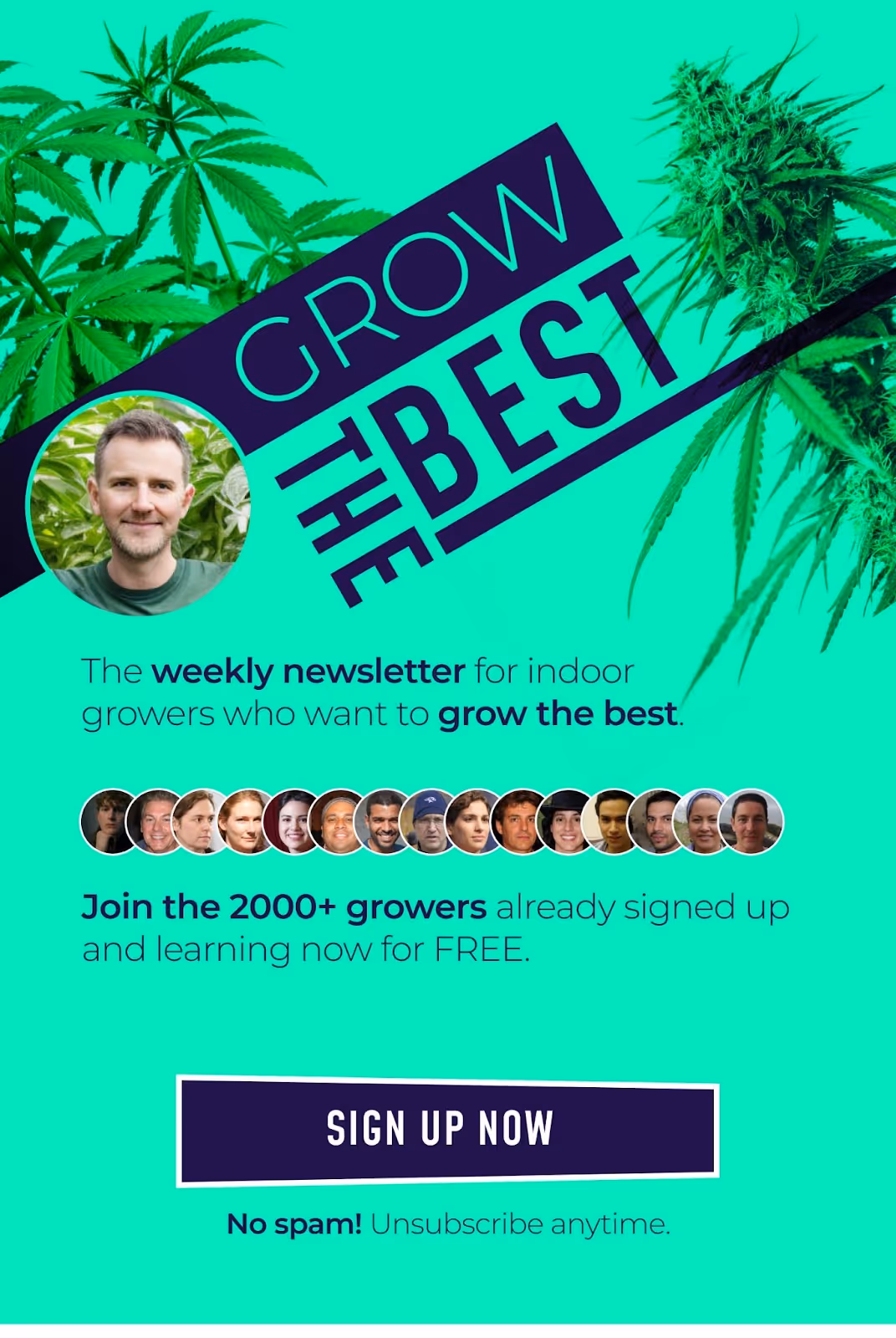 Grow the best newsletter sign up banner