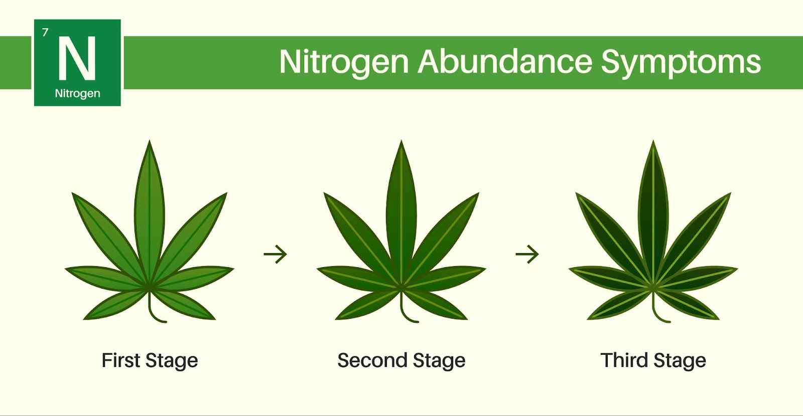 Illustrations showing what leaves look like due to over fertilization