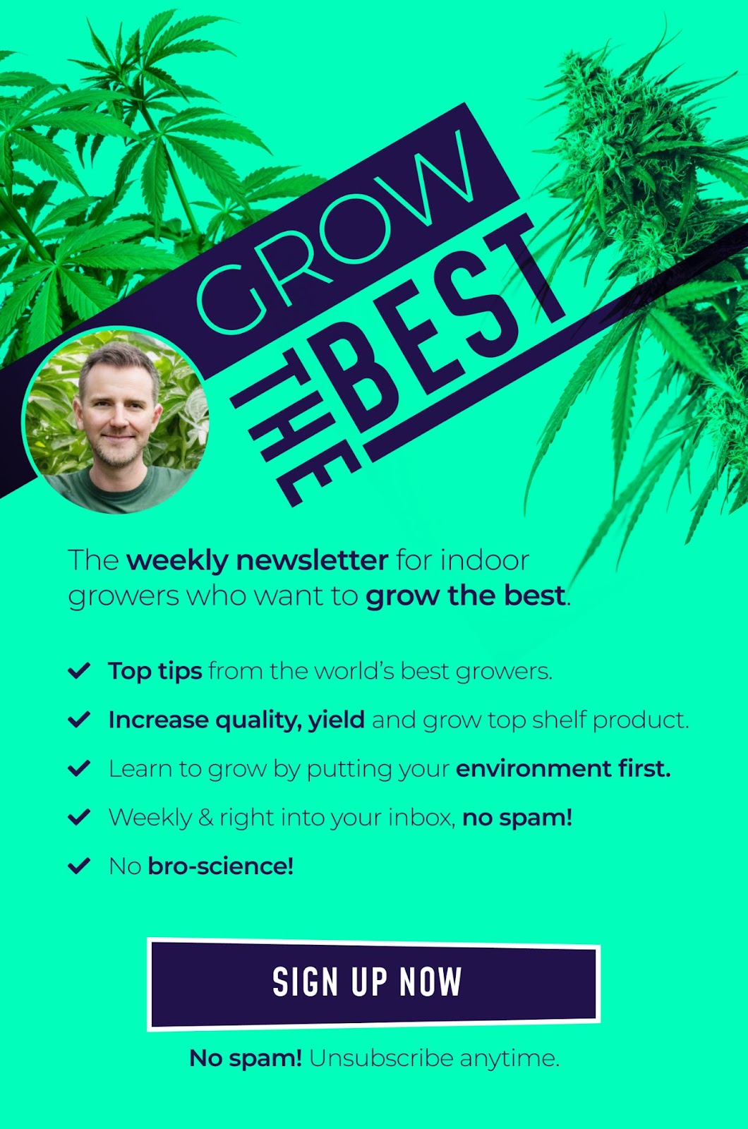 Join the Grow The Best Cannabis newsletter.