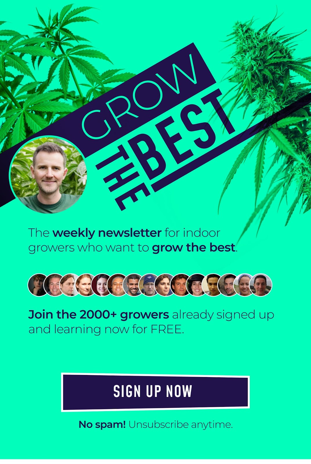 Grow the best cannabis! Join the newsletter now.