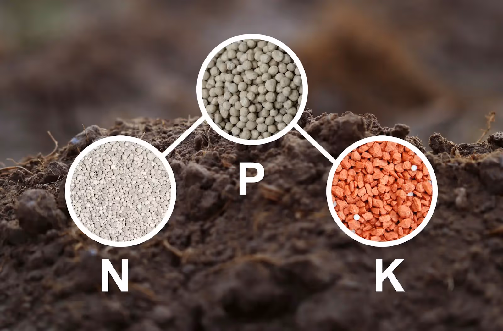 An illustration showing N, P and K values for soil.
