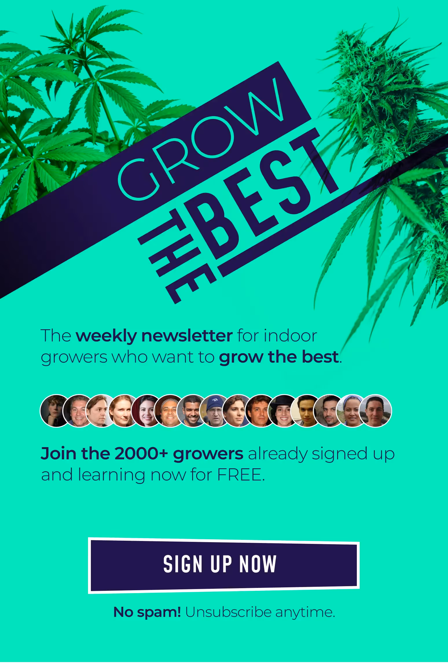 Join the grow the best cannabis newsletter today!