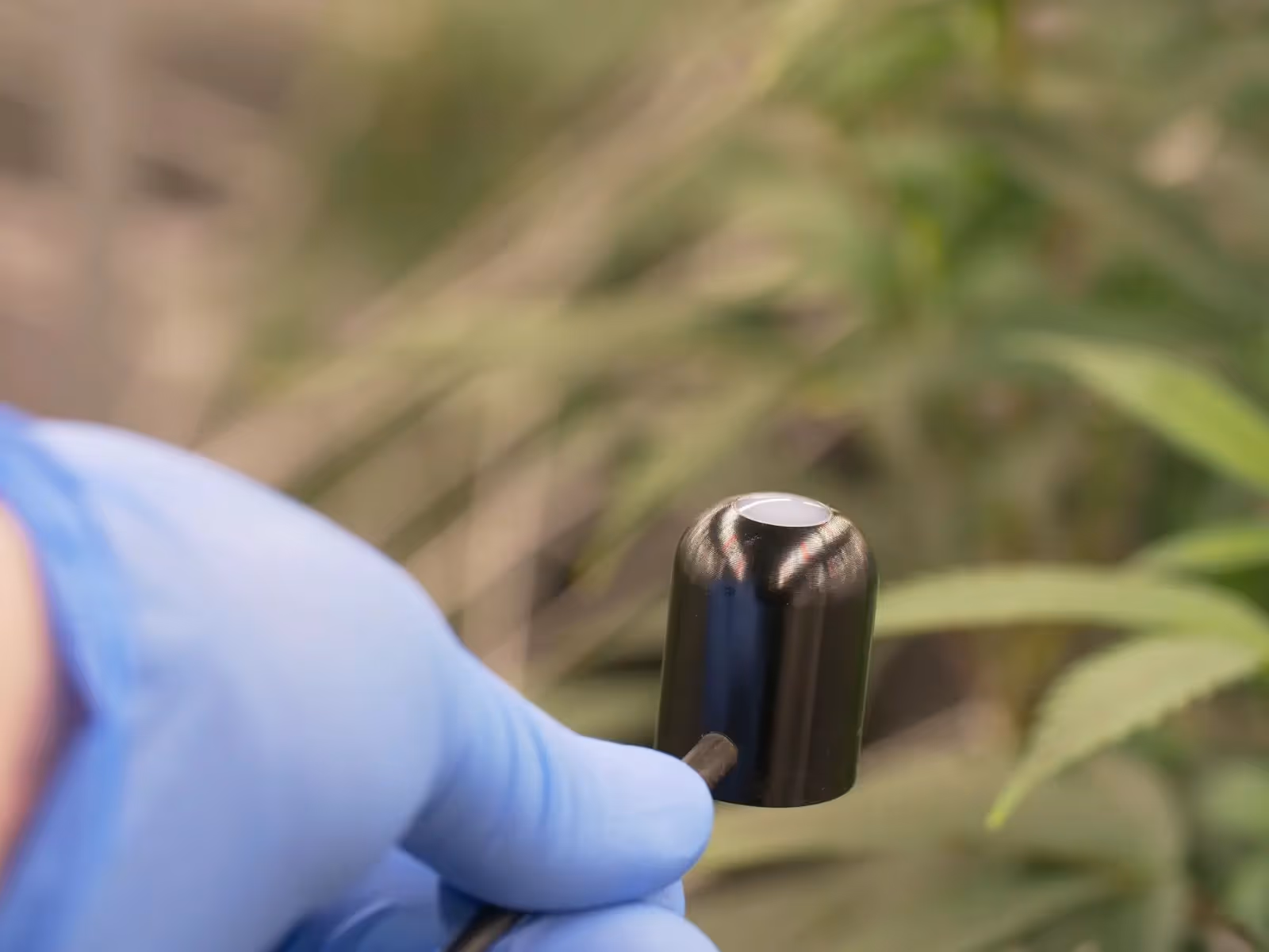 A grower holding a PPFD meter to optimise their grow room lights.