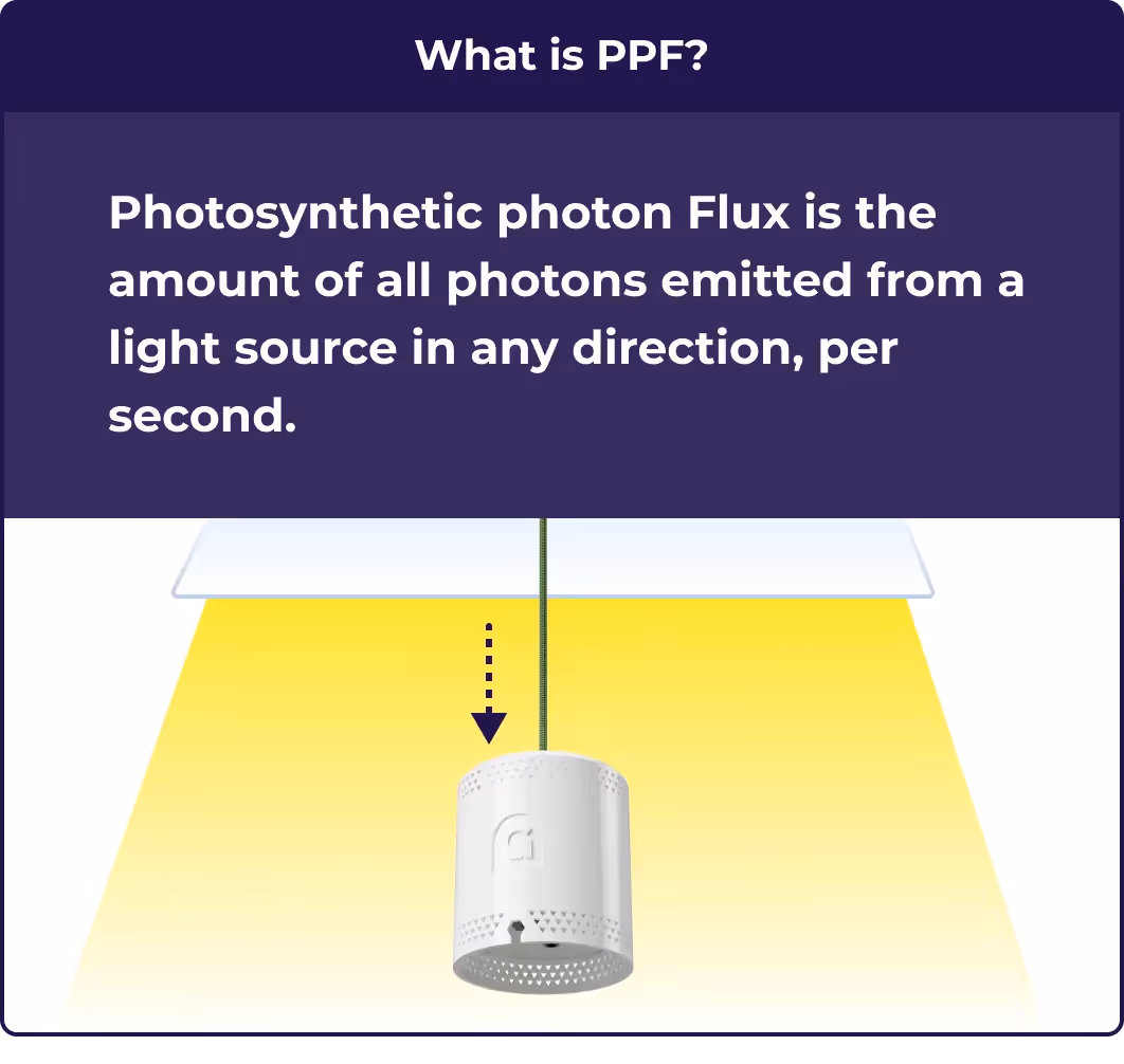An illustration explaining what PPF is and why its helpful to growers.