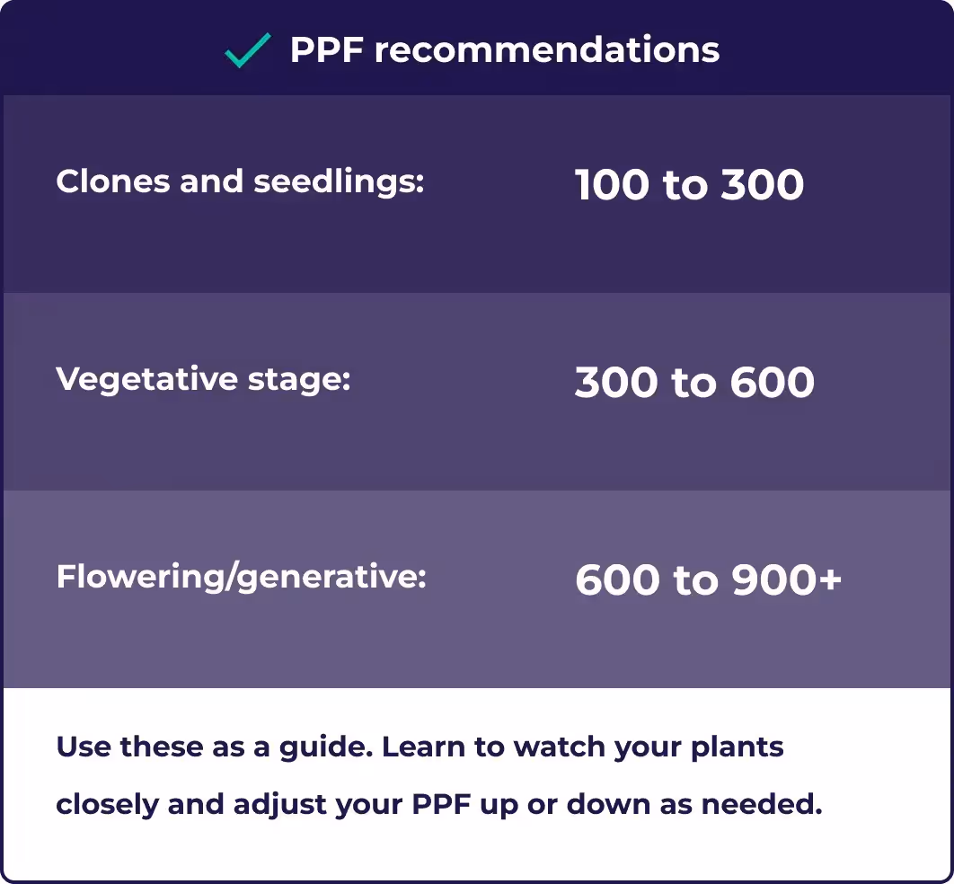 An infographic explaining the correct PPFD for cannabis at different stages of it's life cycle.