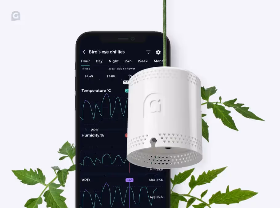 The Grow Sensor hanging in front of the Grow app on The iPhone