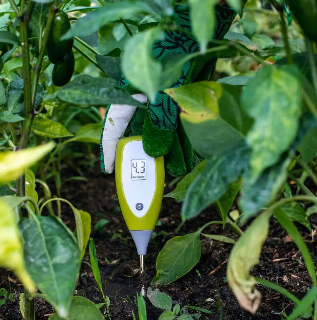 hand holding a soil hydrometer measuring mositure level in soil