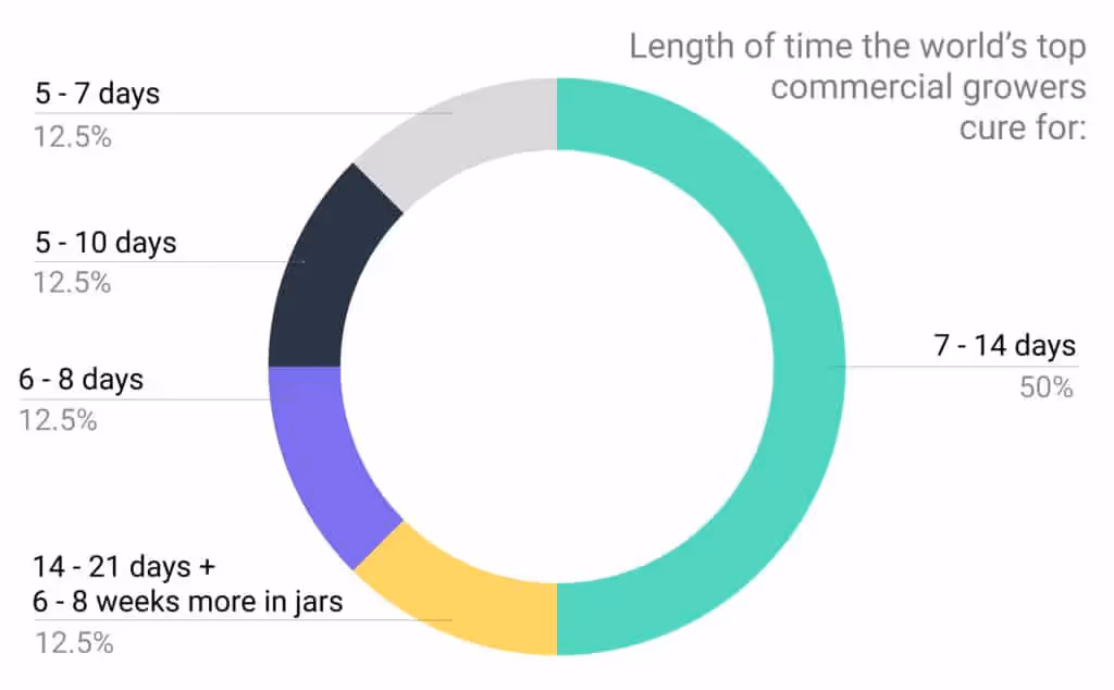 Pie chart - length of curing