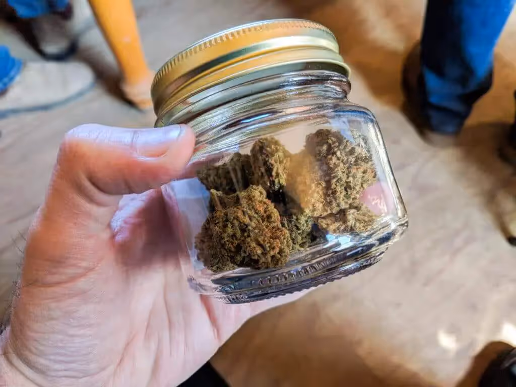 Curing cannabis on a small scale